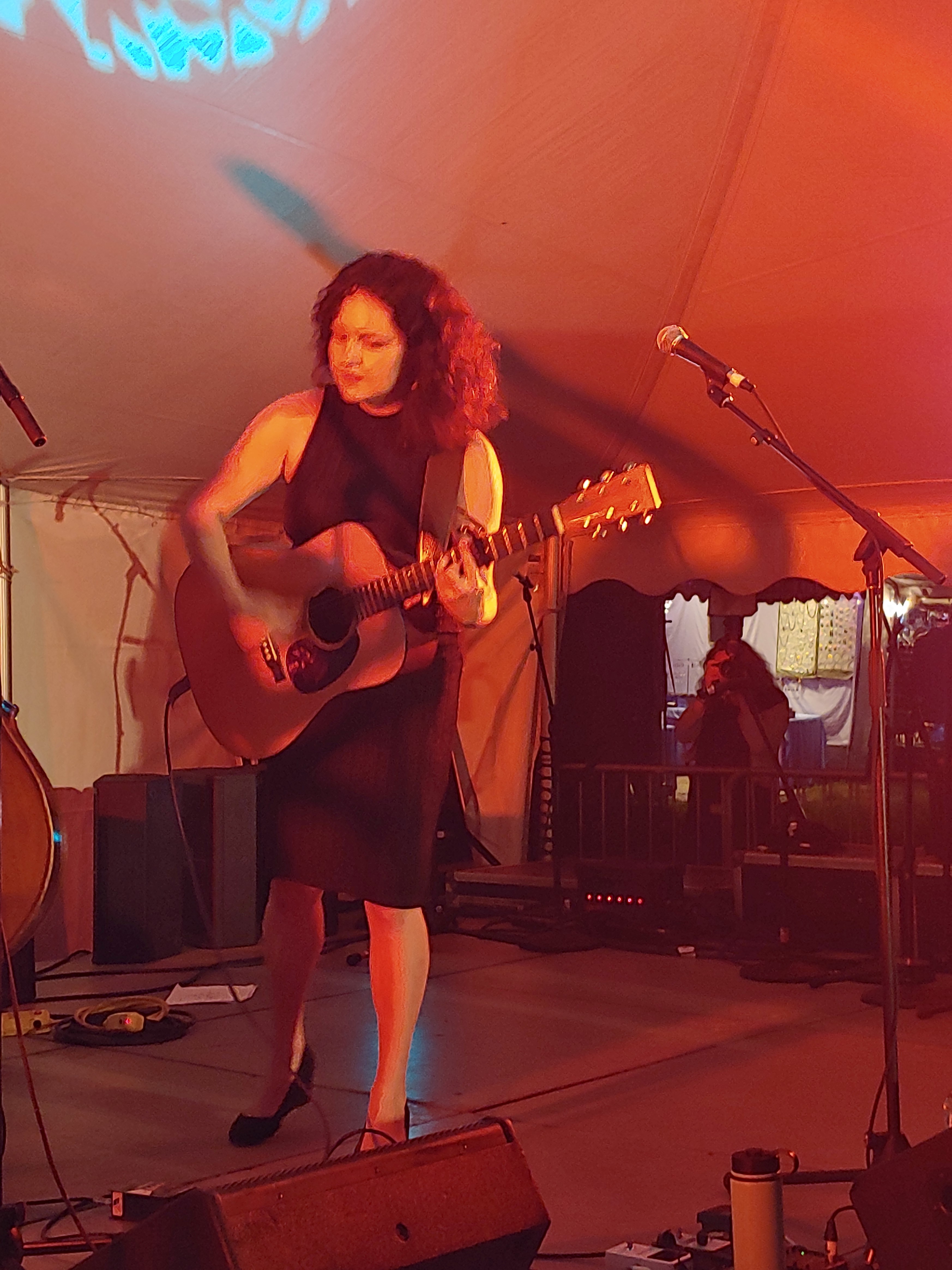 TwistedPine2018-08-16GreenMountainBluegrassAndRootsFestivalManchesterVT (4).jpg